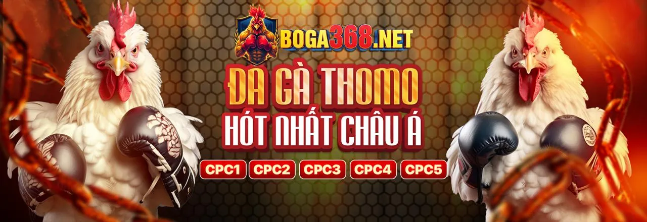 Nền tảng rg8369 link vào với các ưu điểm nổi bật và giải đáp thắc mắc