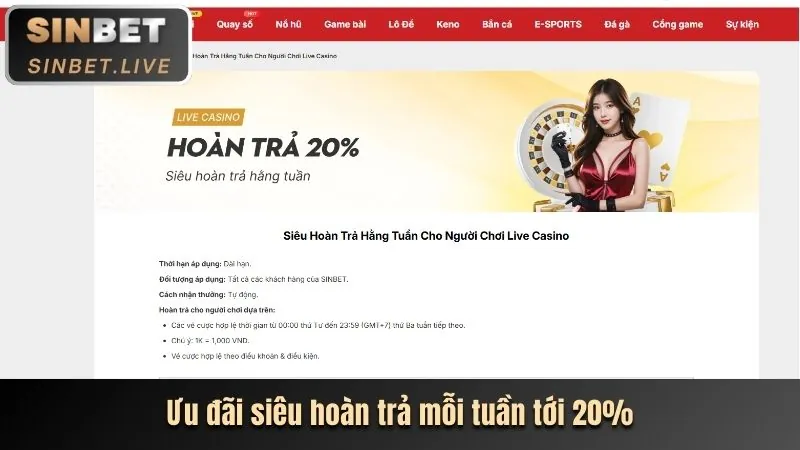 Hoàn trả thể thao và casino rg8369 link vào